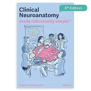 Clinical Neuroanatomy Made Ridiculously Simple: Color Edition 6th Edition