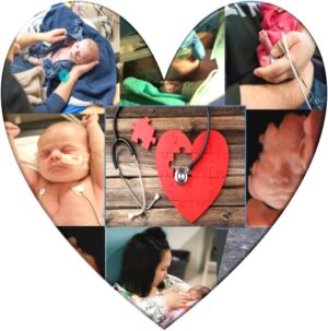 Stollery Cardiac Program Virtual Symposium Fetal-Perinatal-Neonatal Cardiac Continuum
