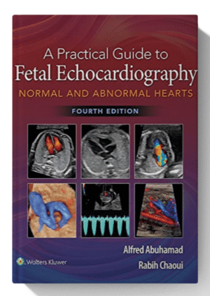 A Practical Guide to Fetal Echocardiography: Normal and Abnormal Hearts 4th Edition